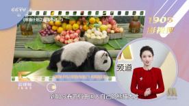 久久中文字幕2021精品